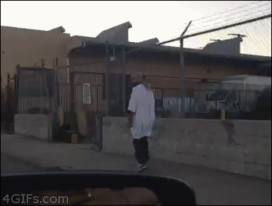 CuLq.gif