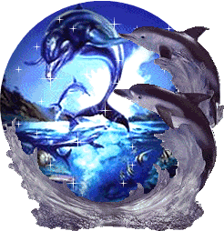 dolphin globe