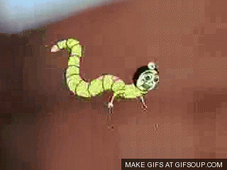 CylE.gif