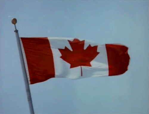 bandeira do Canadá tremulando