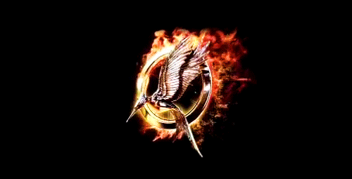 catching fire poster gif