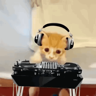 GIF cat dj cat music busy - animated GIF on GIFER - by Chillraven