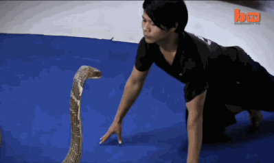 D3Y4.gif