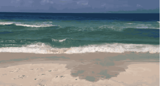 Deal Oc Gif Find On Gifer