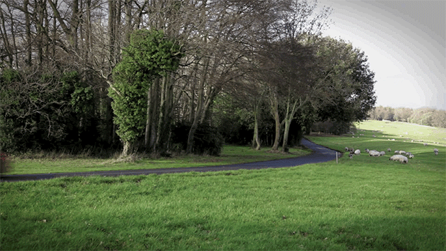 GIF episode 13 season 17 moe szyslak - animated GIF on GIFER