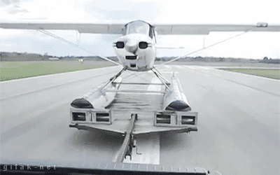 DGo2.gif