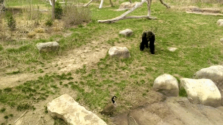 https://i.gifer.com/DJIh.gif