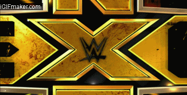 Sorpresa para NXT:10 DPKo