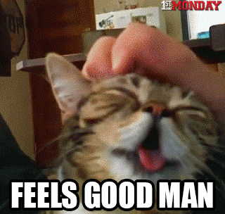 Adam Lamberg Gif Find On Gifer