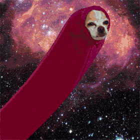 doge gif space