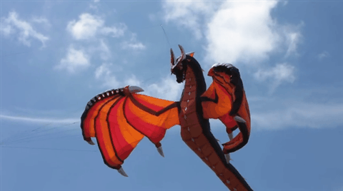 Afbeeldingsresultaat voor dragon gif