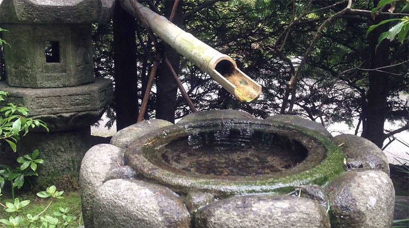 Gardens japonais portland GIF - Find on GIFER