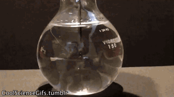 Flask GIFs - Get the best gif on GIFER
