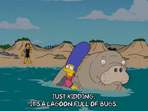 11+ The Singing Walrus Gif Background