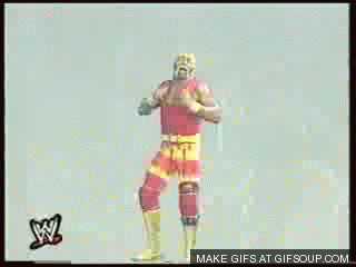 Hulk hogan hulkamania wrestling GIF on GIFER - by Kerazar