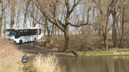 Автобус в реке мойка. Анимированный автобус. Гифки автобус. Маршрутка gif. Толкать автобус гиф.