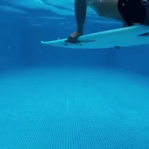 World pool GIF - Find on GIFER