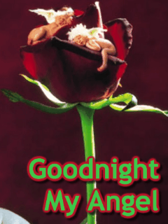 My Angel Gif Find On Gifer
