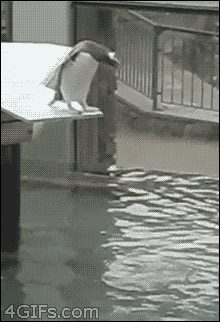 ECu.gif