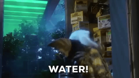 Gremlins water GIF - Find on GIFER