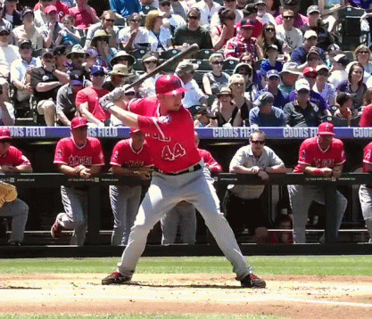 Pujols GIFs - Get the best gif on GIFER