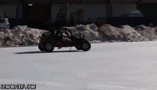 Eats buggy GIF Find on GIFER