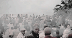 Mena suvari american beauty 1990s GIF - Find on GIFER