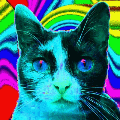Psychedelic Cat GIFs