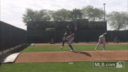Spring Training Animated GIF springtraining - animated GIF on GIFER