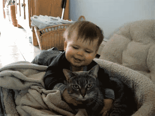 GIF time cuddle - animated GIF on GIFER