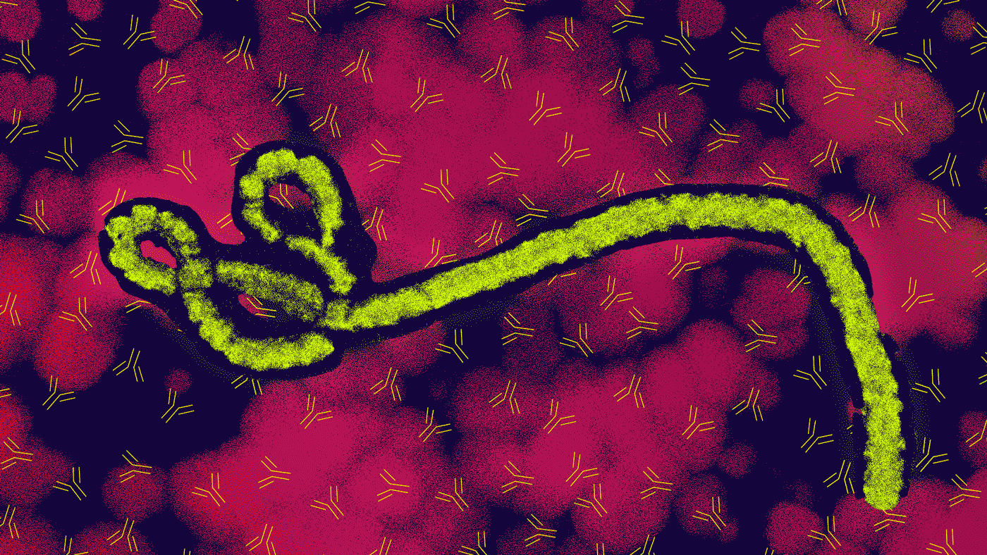 Resultado de imagen para gif ebola