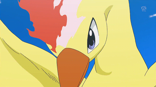 GIF pokegraphic pokemon pokemon xy - animated GIF on GIFER