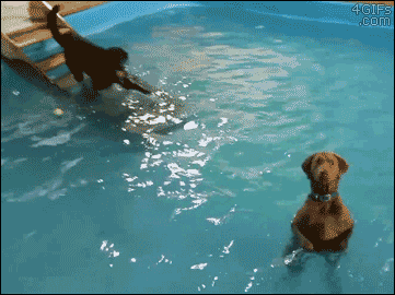 EoPA.gif
