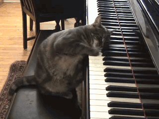 Practice Makes Perfect | Devpost