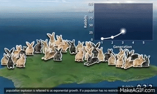 Environment Loop Gif Ecology GIF - Find on GIFER