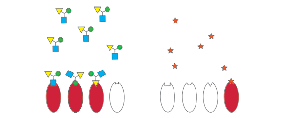 Smeling Animation Smelling GIF - Find on GIFER