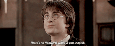 Image result for there's no hogwarts without you hagrid gif