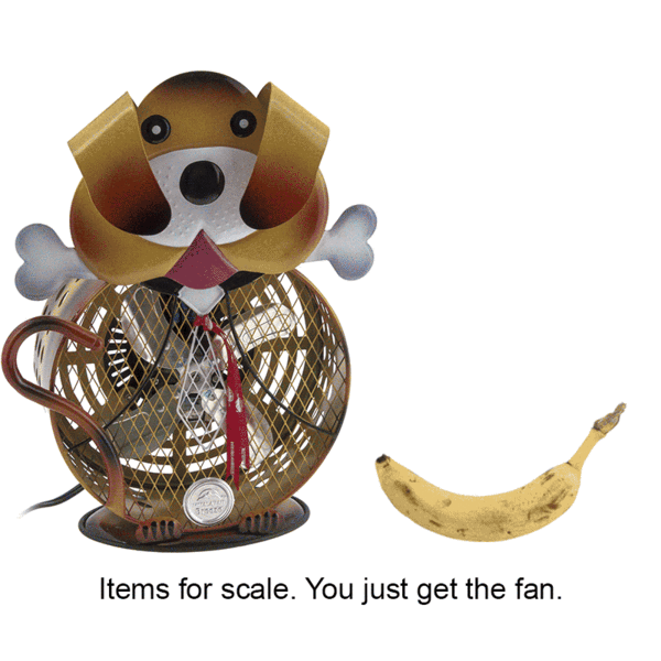 Fans GIF Find on GIFER