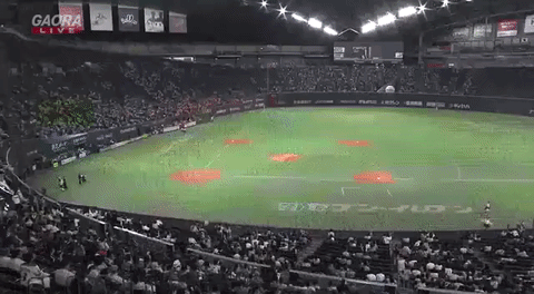 Sadako Vs Kayako Beisbol Gif Find On Gifer