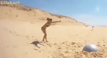 F2Wu.gif