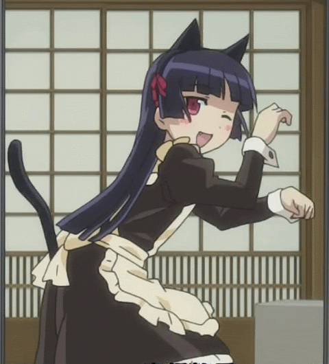 Dancing cat  Anime Amino