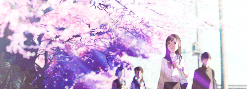 gif 5 centimeters per