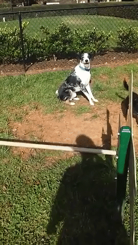 https://i.gifer.com/FC5C.gif