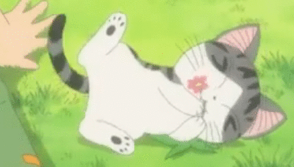 RÃ©sultat de recherche d'images pour "mÃ¨o.gif"