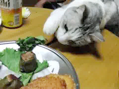 Bon appetit GIFs - Obtenez le meilleur gif sur GIFER
