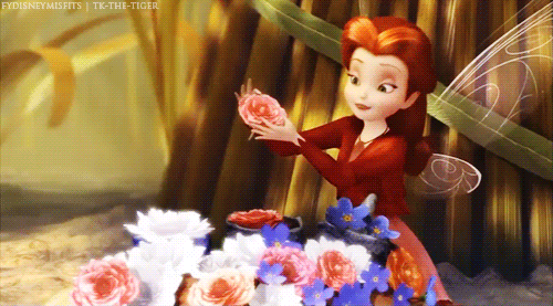 Apologise, but, disney fairy rosetta believe, that Disney fairy rosetta consider, that