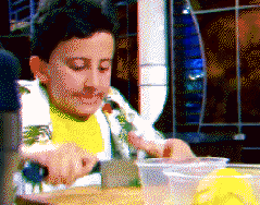 GIF gordon ramsay - animated GIF on GIFER