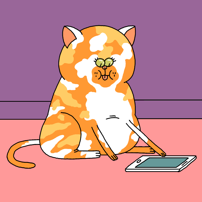 Включи анимацию кота. Гифки с котиками. Кошка гиф. Анимированный кот. Гифка котик.