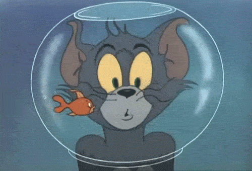 GIF tom fish tom and jerry - animated GIF on GIFER - by Aura