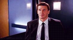 Fgrv.gif